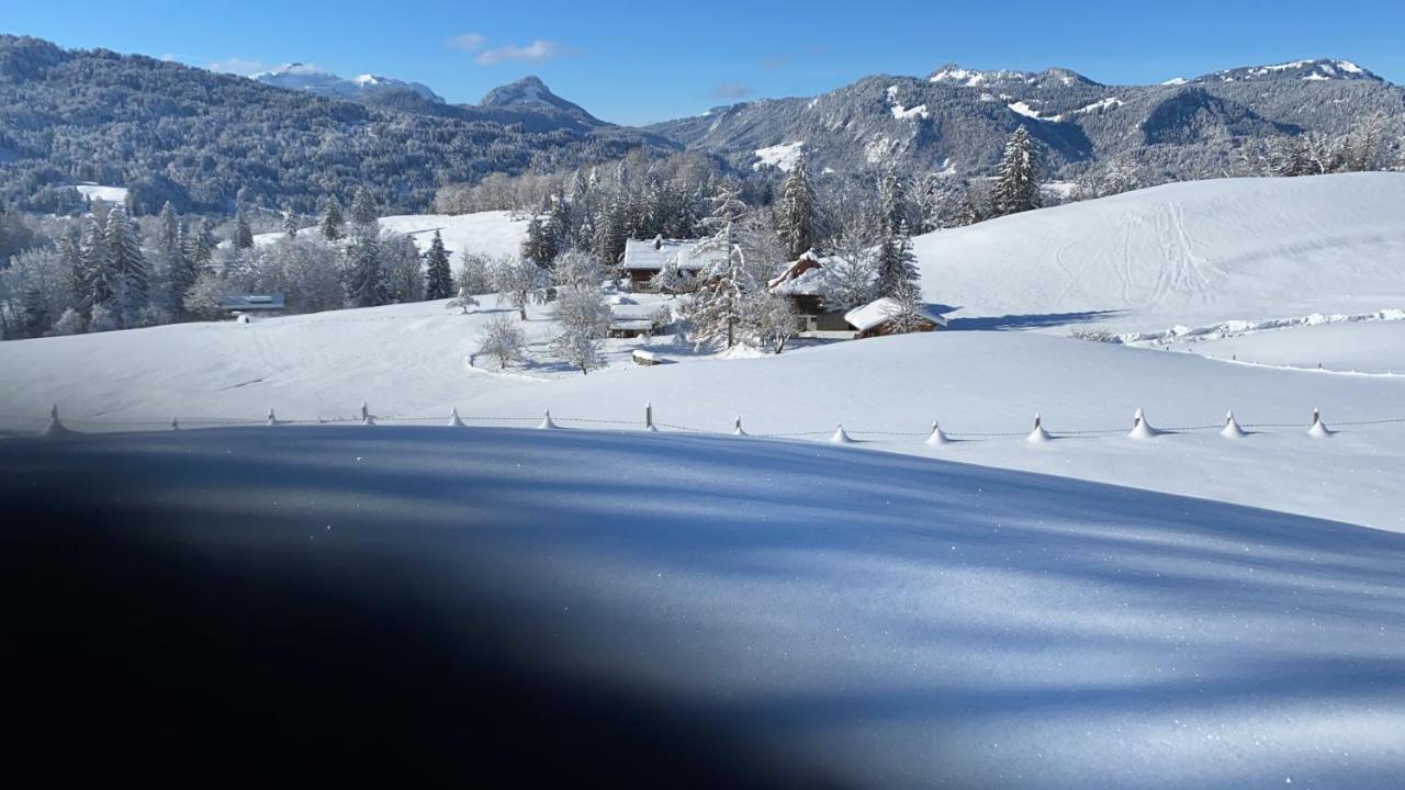 Landhaus Am Plattenbichl - Luxus Apartment Mit Privat-Pool Und Sauna - Im Sommer Bergbahn Inklusive โอเบอร์สทดอร์ฟ ภายนอก รูปภาพ